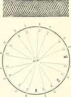 An illustration from Self-instructor in the art of hair work, dressing hair, making curls, switches, braids, and hair jewelry of every description (1867)