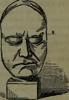 An illustration from The self-instructor in phrenology and physiology : with over one hundred new illustrations, including a chart for the use of practical phrenologists. (1890)