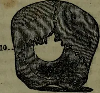An illustration from The self-instructor in phrenology and physiology : with over one hundred new illustrations, including a chart for the use of practical phrenologists. (1890)