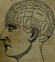 An illustration from The self-instructor in phrenology and physiology : with over one hundred new illustrations, including a chart for the use of practical phrenologists. (1890)