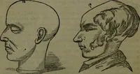 An illustration from The self-instructor in phrenology and physiology : with over one hundred new illustrations, including a chart for the use of practical phrenologists. (1890)