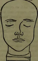 Picture 63 of 79 from The self-instructor in phrenology and physiology : with over one hundred new illustrations, including a chart for the use of practical phrenologists. (1890), leaf 142