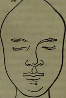 An illustration from The self-instructor in phrenology and physiology : with over one hundred new illustrations, including a chart for the use of practical phrenologists. (1890)