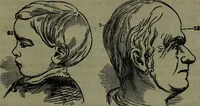 An illustration from The self-instructor in phrenology and physiology : with over one hundred new illustrations, including a chart for the use of practical phrenologists. (1890)