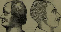 An illustration from The self-instructor in phrenology and physiology : with over one hundred new illustrations, including a chart for the use of practical phrenologists. (1890)