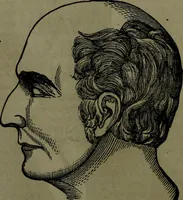 An illustration from The self-instructor in phrenology and physiology : with over one hundred new illustrations, including a chart for the use of practical phrenologists. (1890)