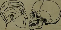 An illustration from The self-instructor in phrenology and physiology : with over one hundred new illustrations, including a chart for the use of practical phrenologists. (1890)