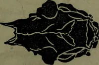An illustration from The self-instructor in phrenology and physiology : with over one hundred new illustrations, including a chart for the use of practical phrenologists. (1890)