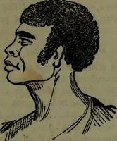 An illustration from The self-instructor in phrenology and physiology : with over one hundred new illustrations, including a chart for the use of practical phrenologists. (1890)