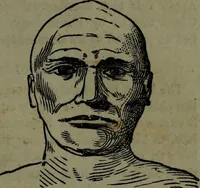 An illustration from The self-instructor in phrenology and physiology : with over one hundred new illustrations, including a chart for the use of practical phrenologists. (1890)
