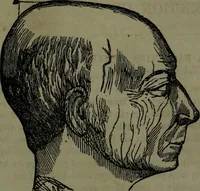 An illustration from The self-instructor in phrenology and physiology : with over one hundred new illustrations, including a chart for the use of practical phrenologists. (1890)
