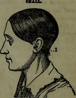 An illustration from The self-instructor in phrenology and physiology : with over one hundred new illustrations, including a chart for the use of practical phrenologists. (1890)