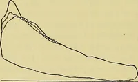 An illustration from Self-propelled vehicles; a practical treatise on the theory, construction, operation, care and management of all forms of automobiles (1906)