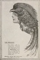 An illustration from Advertising and selling; principles of appeal and response (1920)