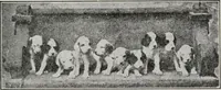 An illustration from Advertising and selling; principles of appeal and response (1920)