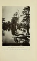 Picture 4 of 7 from The Seminoles of Florida (1910), leaf 219