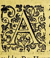 An illustration from Sené-boher. : Brandende-bosch uyt welckers voncken, d' over-groote victorie vande sterke stadt s' Hertoghen-bosch, door Gods sonderlinghe ghenade, op den 17. septembris, 1629 ... ontstaen is. ... (1630)