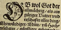 An illustration from Sendtschreyben vnd warhaffte Zeytungen. : Von Auffgang vnd Erweiterung des Christenthumbs, bey den Hayden inn der newen Welt: : auch von Veruolgung vnnd Hailigkait, der gaistlichen apostolischen Vorsteher daselbs, so erst dises Jar, auss den orientischen Indien kommen, (1571)