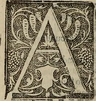 Picture 85 of 92 from Seneca his tenne tragedies (1581), leaf 411
