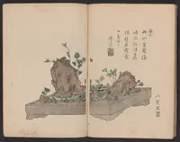 An illustration from Senkeiban zushiki (1826)