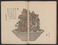 Picture 3 of 5 from Senkeiban zushiki (1826), leaf 13