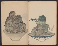 An illustration from Senkeiban zushiki (1826)