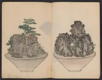 An illustration from Senkeiban zushiki (1826)