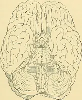 An illustration from The senses and the intellect (1874)