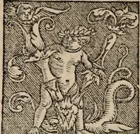 An illustration from Sentenciae ex doctoribvs collectae, qvas papistæ ualde impudenter hodie damnant (1536)