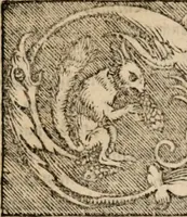 An illustration from Sentenciae ex doctoribvs collectae, qvas papistæ ualde impudenter hodie damnant (1536)