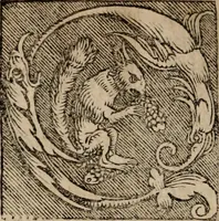 An illustration from Sentenciae ex doctoribvs collectae, qvas papistæ ualde impudenter hodie damnant (1536)