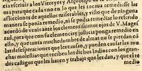 An illustration from Señor. Luis de Salazar protector y defensor general de las Indias de las Prouincias de Tucuman dize, que ha muchos años que sirue este oficio . (1592)