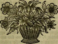 An illustration from Septem Asiae ecclesiarum et Constantinopoleos notitia (1694)
