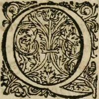An illustration from Septimana philosophica : qua aenigmata avreola de omni natvrae genere a Salomone Israëlitarum sapientissimo rege, & Arabiae regina Saba, nec non Hyramo, Tyri principe, sibi inuicem in modum colloquii proponuntur & enodantur ... (1620)