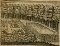 Picture 19 of 24 from Septimana philosophica : qua aenigmata avreola de omni natvrae genere a Salomone Israëlitarum sapientissimo rege, & Arabiae regina Saba, nec non Hyramo, Tyri principe, sibi inuicem in modum colloquii proponuntur & enodantur ... (1620), leaf 156