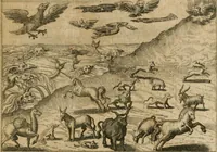 An illustration from Septimana philosophica : qua aenigmata avreola de omni natvrae genere a Salomone Israëlitarum sapientissimo rege, & Arabiae regina Saba, nec non Hyramo, Tyri principe, sibi inuicem in modum colloquii proponuntur & enodantur ... (1620)