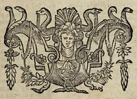 Picture 2 of 2 from Seqvvntvr varii articvli erronei omnivm pene facvltatvm (1650), leaf 21