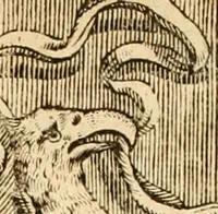 An illustration from Serenissimorum pientissimorumque principum austriacorum symbola et elogia (1647)