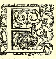 An illustration from Sereniss. principis Alberti Austriae Archiducis VII, Brabantiae Ducis I laudatio funebris (1621)