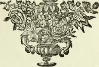 Picture 25 of 40 from Serie degli uomini i più illustri nella pittura, scultura, e architettura : con i loro elogi, e ritratti incisi in rame cominciando dalla sua prima restaurazione fino ai tempi presenti .. (1769), leaf 112