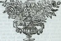 Picture 14 of 40 from Serie degli uomini i più illustri nella pittura, scultura, e architettura : con i loro elogi, e ritratti incisi in rame cominciando dalla sua prima restaurazione fino ai tempi presenti .. (1769), leaf 75