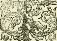Picture 36 of 37 from Serie degli uomini i più illustri nella pittura, scultura, e architettura : con i loro elogi, e ritratti incisi in rame cominciando dalla sua prima restaurazione fino ai tempi presenti .. (1769), leaf 216