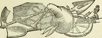 Picture 27 of 39 from Serie degli uomini i più illustri nella pittura, scultura, e architettura : con i loro elogi, e ritratti incisi in rame cominciando dalla sua prima restaurazione fino ai tempi presenti .. (1769), leaf 210