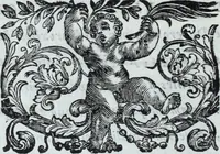 Picture 29 of 39 from Serie degli uomini i più illustri nella pittura, scultura, e architettura : con i loro elogi, e ritratti incisi in rame cominciando dalla sua prima restaurazione fino ai tempi presenti .. (1769), leaf 221
