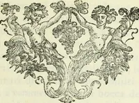 An illustration from Serie degli uomini i più illustri nella pittura, scultura, e architettura : con i loro elogi, e ritratti incisi in rame cominciando dalla sua prima restaurazione fino ai tempi presenti .. (1769)