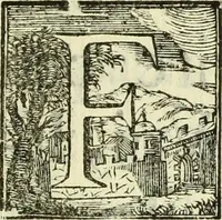 An illustration from Serie degli uomini i più illustri nella pittura, scultura, e architettura : con i loro elogi, e ritratti incisi in rame cominciando dalla sua prima restaurazione fino ai tempi presenti .. (1769)
