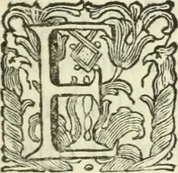 An illustration from Serie degli uomini i più illustri nella pittura, scultura, e architettura : con i loro elogi, e ritratti incisi in rame cominciando dalla sua prima restaurazione fino ai tempi presenti .. (1769)