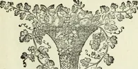 An illustration from Serie degli uomini i più illustri nella pittura, scultura, e architettura : con i loro elogi, e ritratti incisi in rame cominciando dalla sua prima restaurazione fino ai tempi presenti .. (1769)