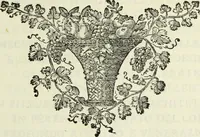 An illustration from Serie degli uomini i più illustri nella pittura, scultura, e architettura : con i loro elogi, e ritratti incisi in rame cominciando dalla sua prima restaurazione fino ai tempi presenti .. (1769)