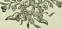 An illustration from Série des colonnes (1782)